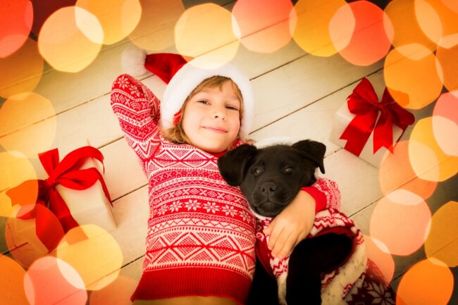 Geschenkidee Tier Hund Katze Geschenkidee Tier Hund Katze